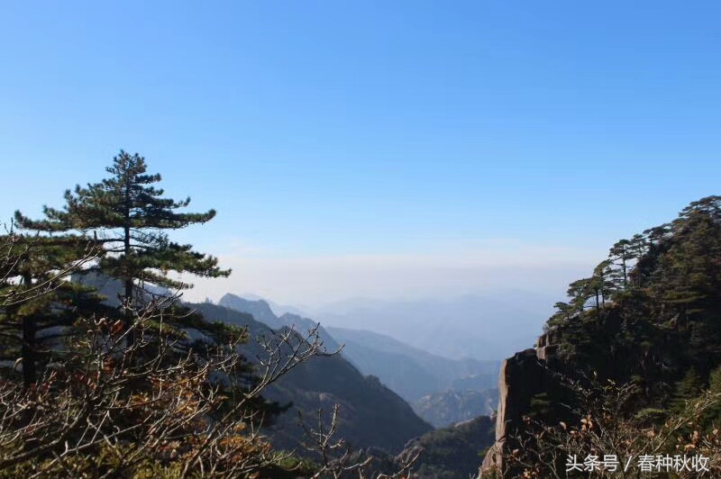 黄山四绝，奇松、怪石、云海、温泉