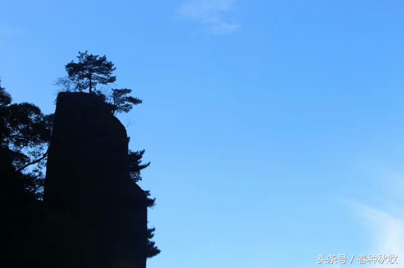 黄山四绝，奇松、怪石、云海、温泉