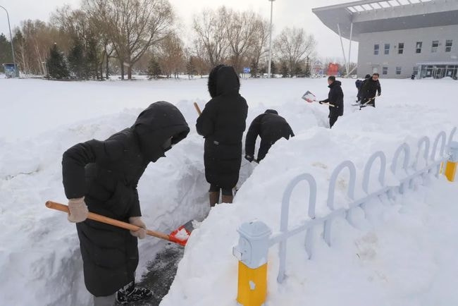 极寒暴风雪冰封通辽 积雪最高处已和平房持平