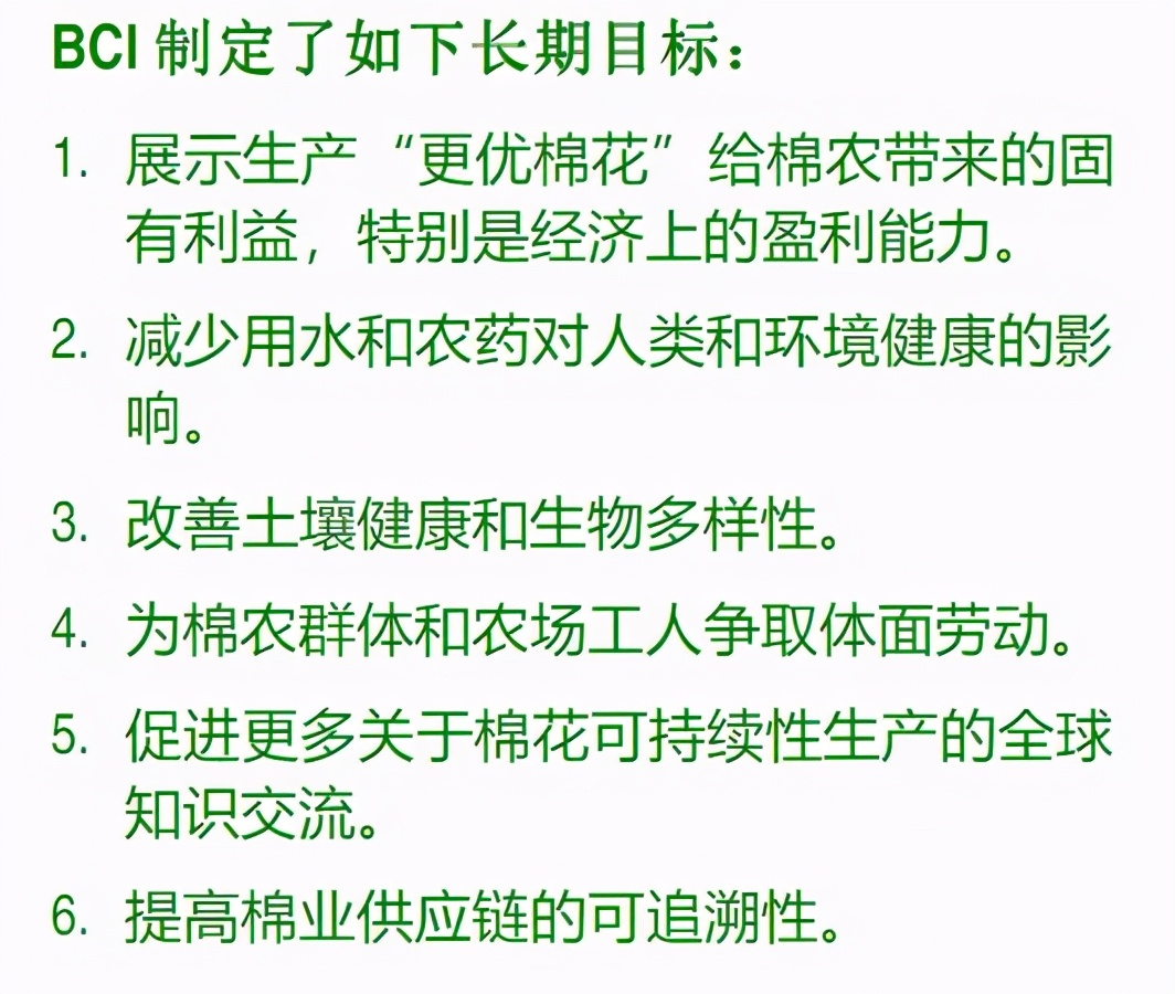 BCI 到底是个怎样的组织，它是如何运作的？我们该如何反制？