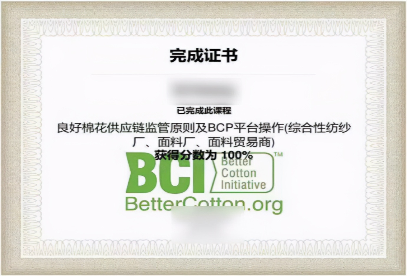 BCI 到底是个怎样的组织，它是如何运作的？我们该如何反制？