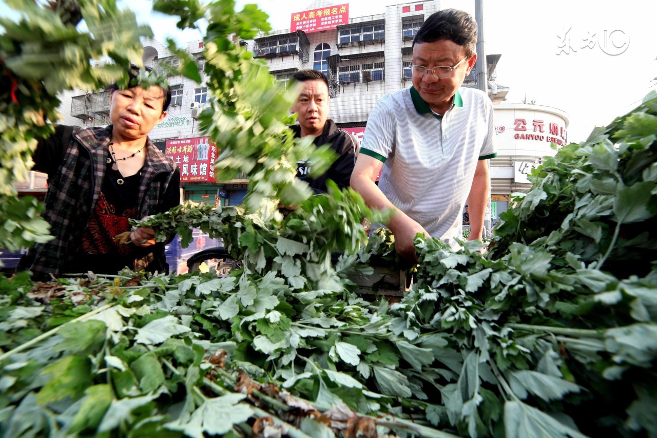 端午节为什么要插艾叶？在门庭上插这个有啥用