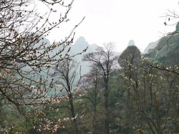 草长莺飞是什么季节(草长莺飞是春天还是夏天)