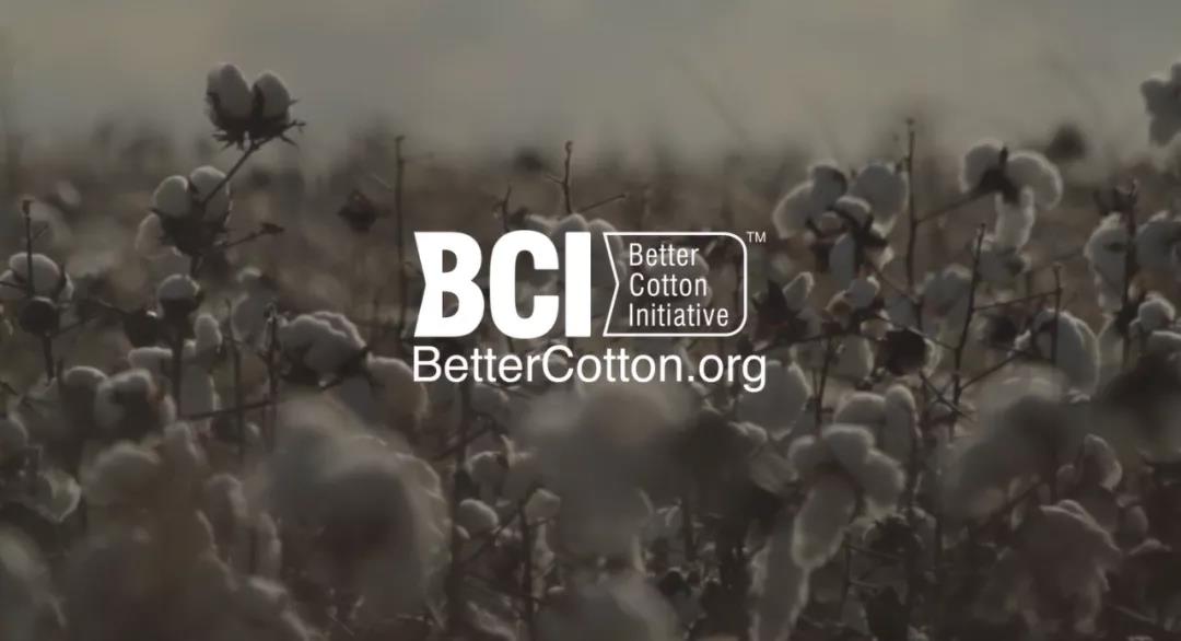 起底抵制新疆棉花的“幕后推手”，BCI到底是啥来头？