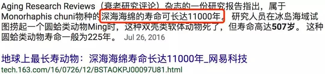 海绵宝宝原型到底是啥？家长们收藏这个冷知识，以后告诉小朋友