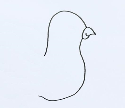 动物简笔画：和平鸽的简笔画怎么画？鸽子简笔画步骤，适合收藏