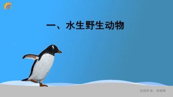 企鹅是鸟类吗（一分钟让你了解真相）