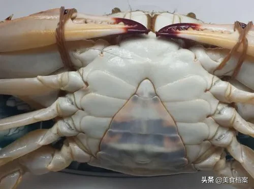 渔民教你如何区分螃蟹公母的方法，辨别螃蟹公母技巧看这1张图！