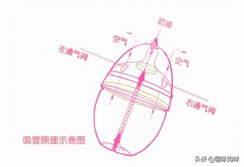 奶粉起泡沫怎么回事（教你掌握正确的冲奶粉方式）