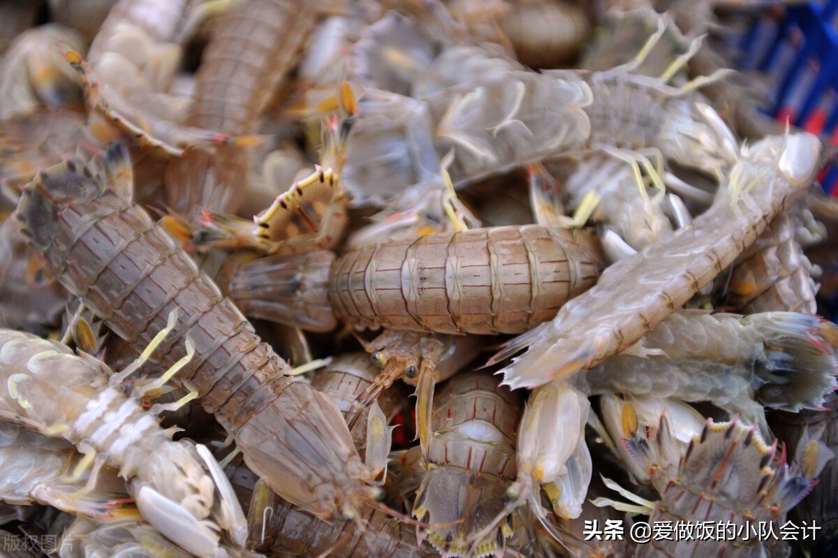 皮皮虾蒸多久？冷水上锅还是沸水上锅？一文读懂，知道了别再做错