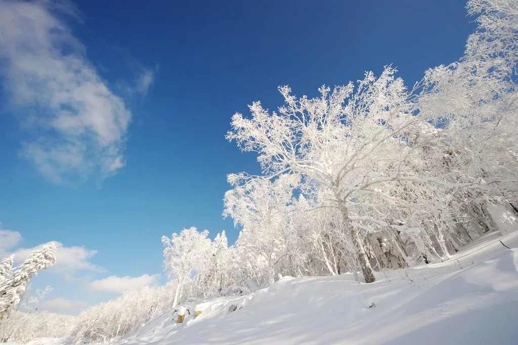 遇间旅游 | 哈尔滨雪乡旅游攻略，领略北国风光在冰雪之间的浪漫