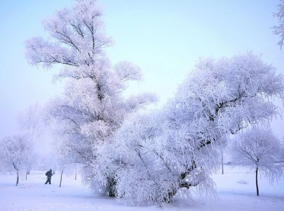 遇间旅游 | 哈尔滨雪乡旅游攻略，领略北国风光在冰雪之间的浪漫