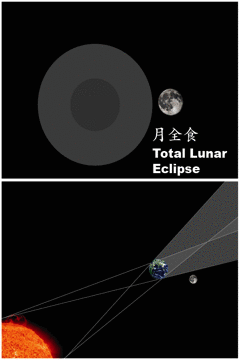 什么是月全食？它是如何形成的？难道你就不打算进来看看？