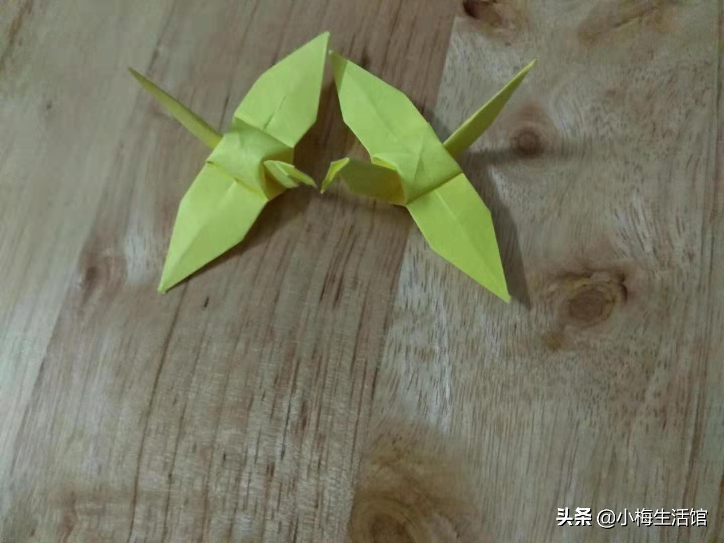 小时候学的千纸鹤你还会折吗？千纸鹤折法及步骤图解