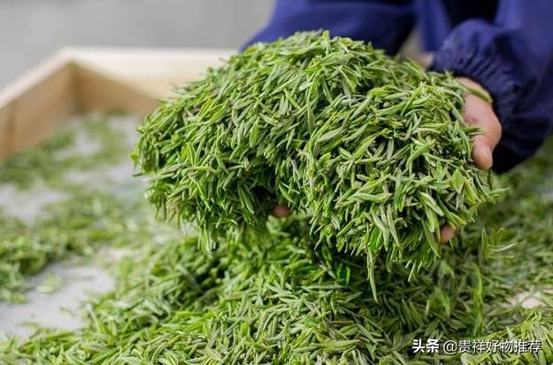 信阳毛尖是绿茶吗？信阳毛尖的选购方法