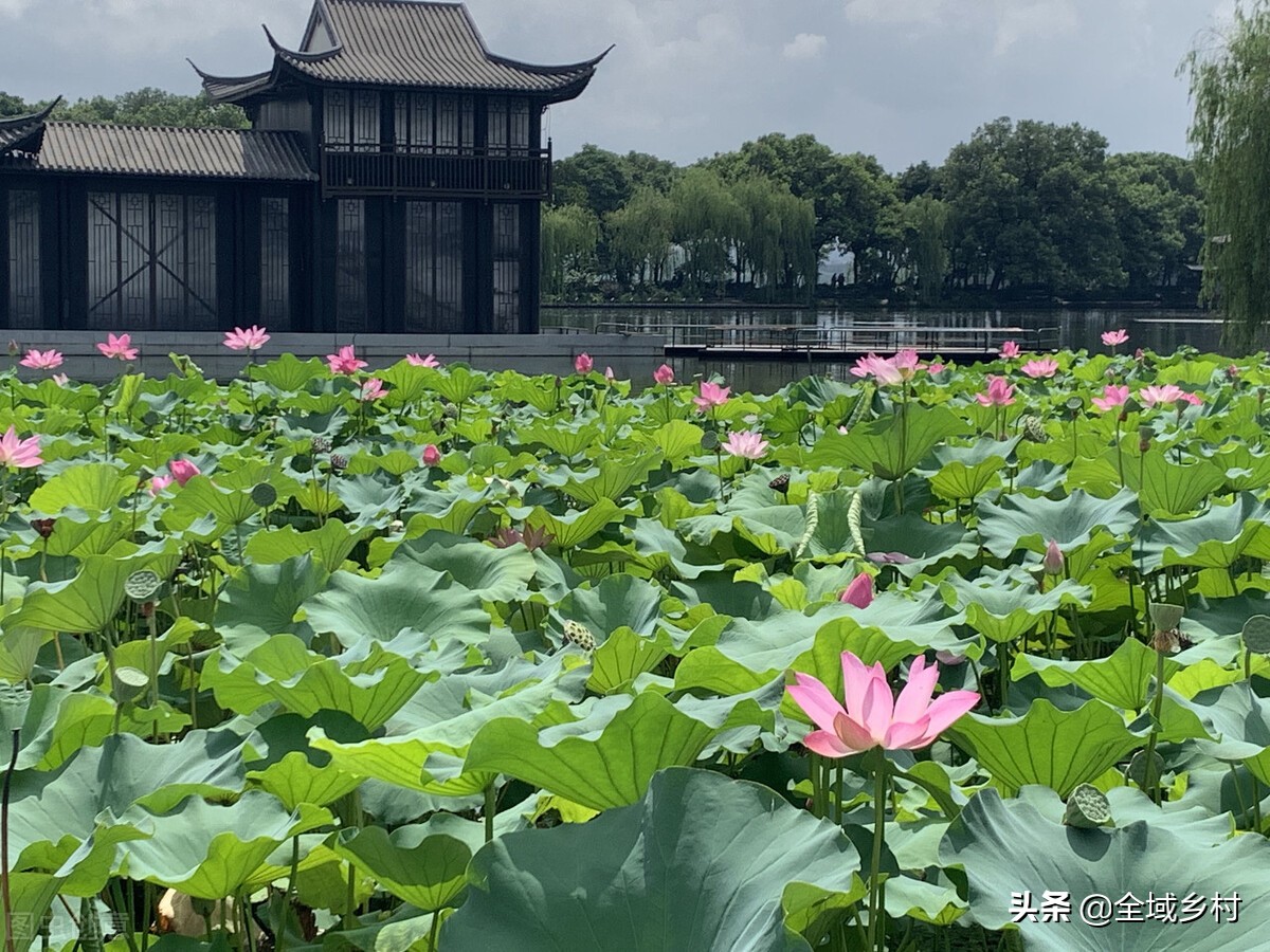 西湖十景是哪十景（西湖十景的简介）