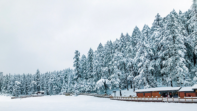 玉龙雪山在哪里个城市（玉龙雪山景点介绍）