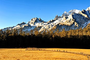 玉龙雪山在哪里个城市（玉龙雪山景点介绍）