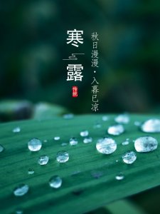 露似珍珠月似弓是什么季节 （露似珍珠月似弓的含义）