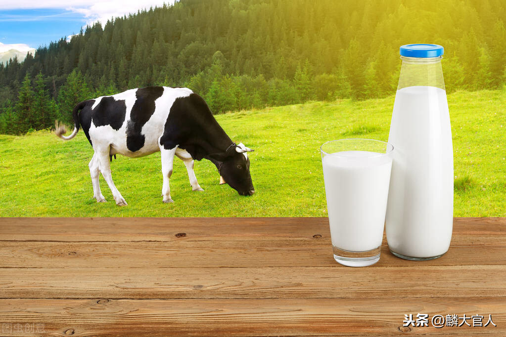 什么是有机牛奶（有机牛奶和纯牛奶的区别）