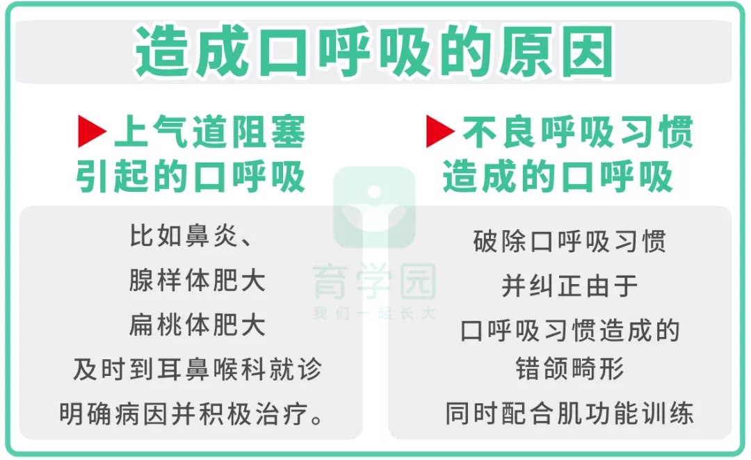 长期用嘴巴呼吸真的会让人变丑吗（家长一定要注意了）