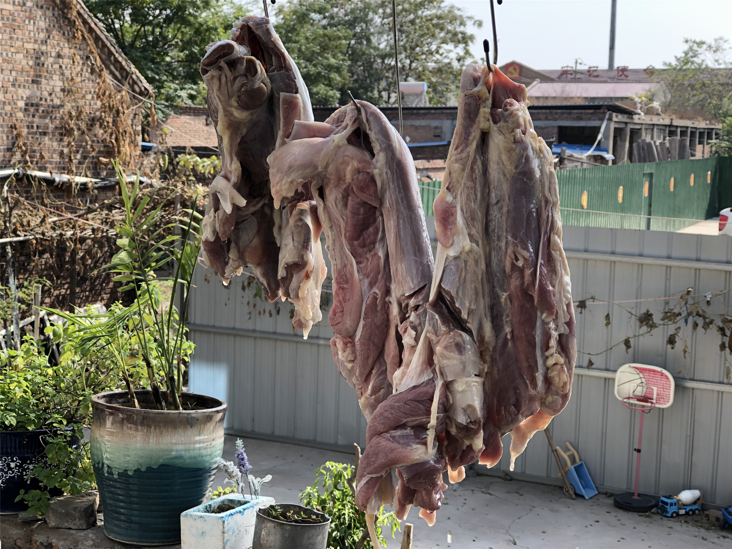 怎样卤牛肉(家常必备卤牛肉的窍门）