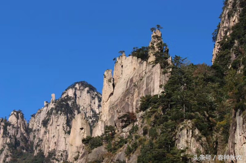 黄山四绝分别是什么（黄山四绝简介）