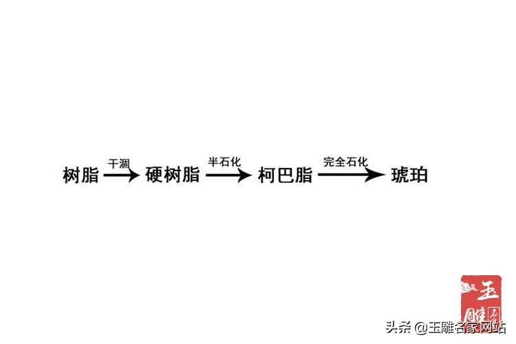 珀怎么形成（琥珀形成的过程介绍）