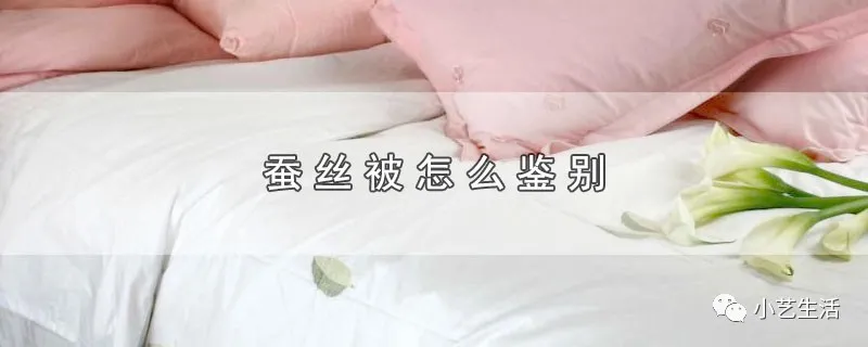 如何鉴别蚕丝被(蚕丝被的鉴定方法)