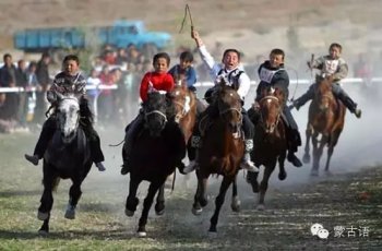 那达慕是哪个民族的节日（蒙古族的传统节日）