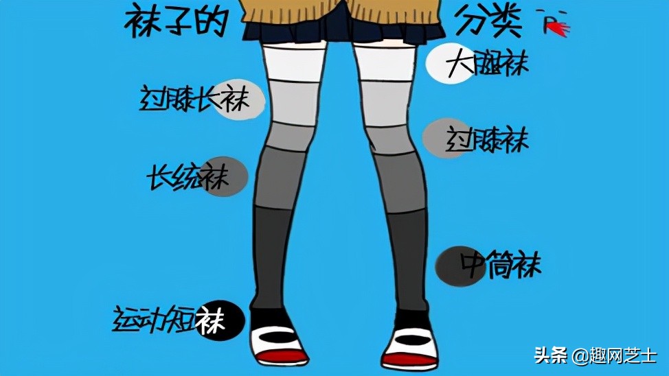吊带袜有哪些（关于丝袜的作用和分类）