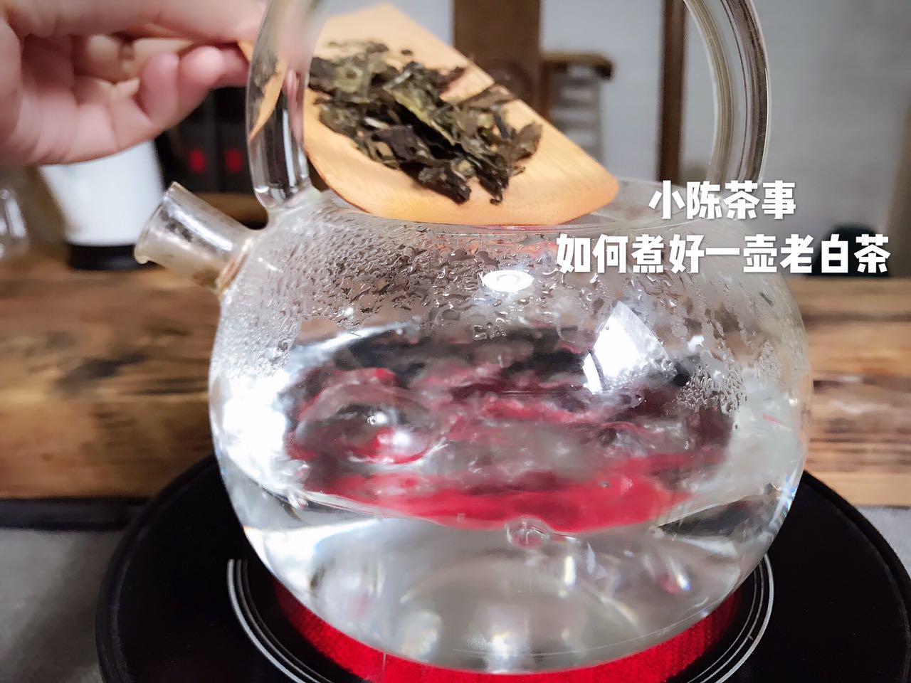 白茶有哪些品种（此文让你轻松搞懂白茶的一切）