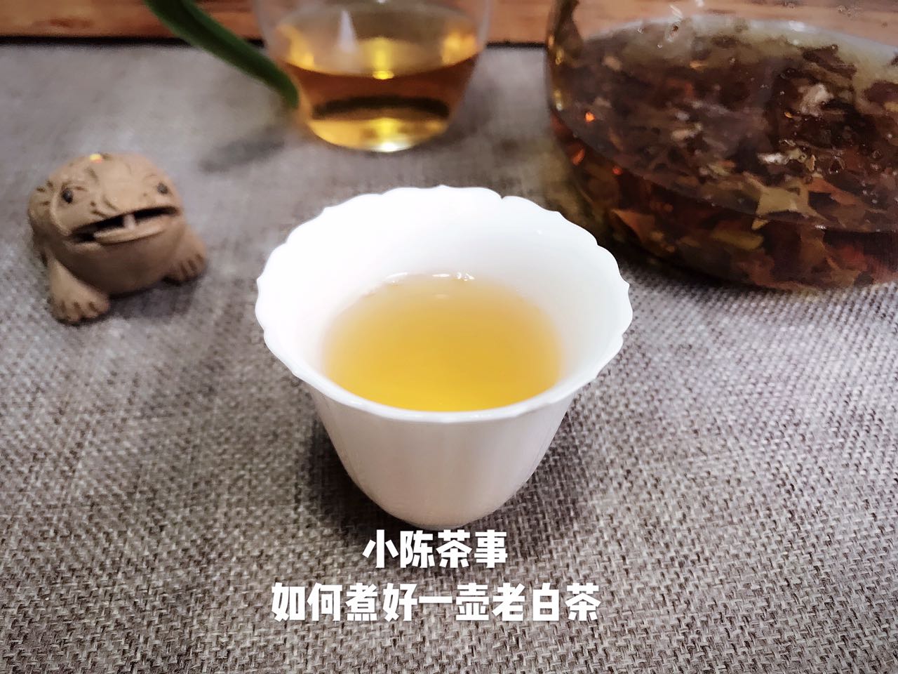 白茶有哪些品种（此文让你轻松搞懂白茶的一切）