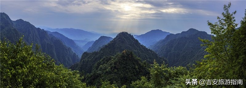 峨眉山猴子在哪个景点（峨眉山看猴攻略）