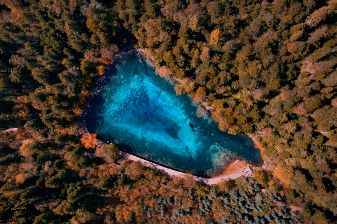 九寨沟在四川哪里（九寨沟的景点介绍）