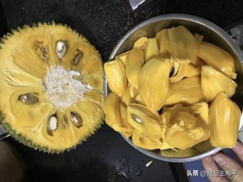 菠萝蜜怎么剥（一文读懂剥菠萝蜜窍门）