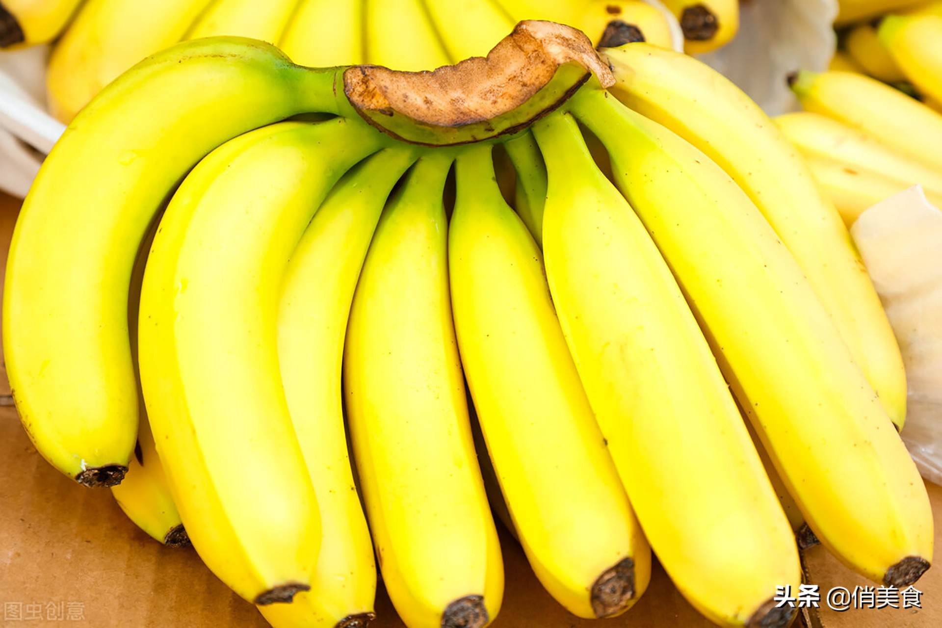芭蕉和香蕉是一个东西吗 （芭蕉和香蕉的区别 ）