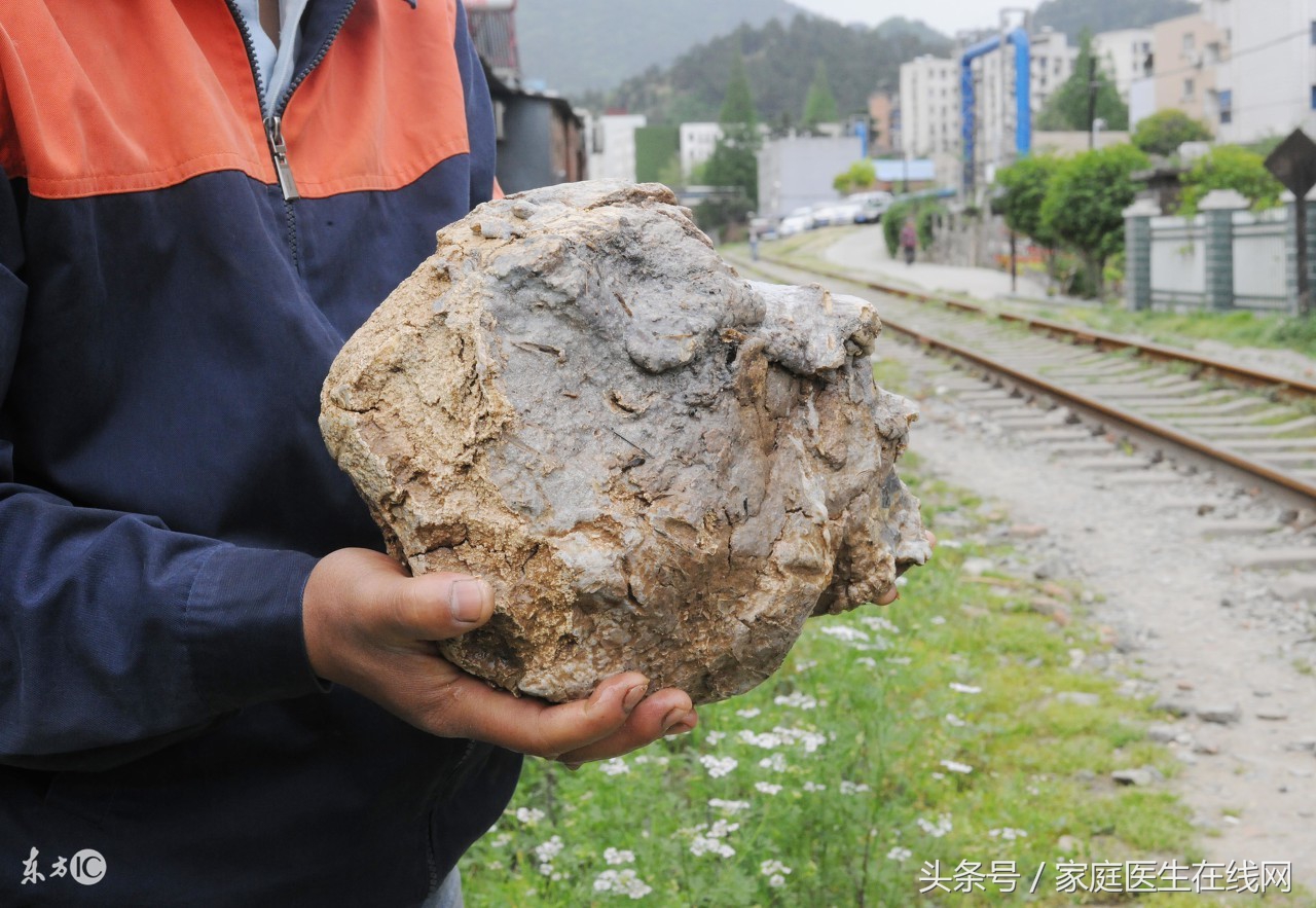 太岁是什么东西（太岁的作用及功效）