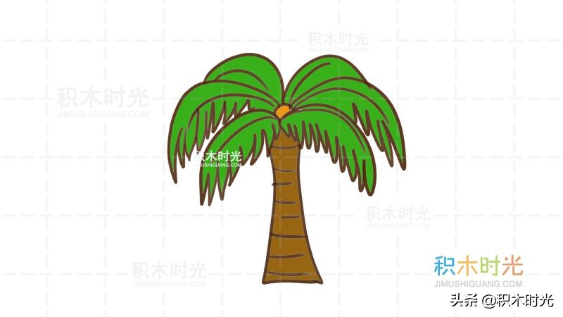 椰子树怎么画（椰子树简笔画步骤）