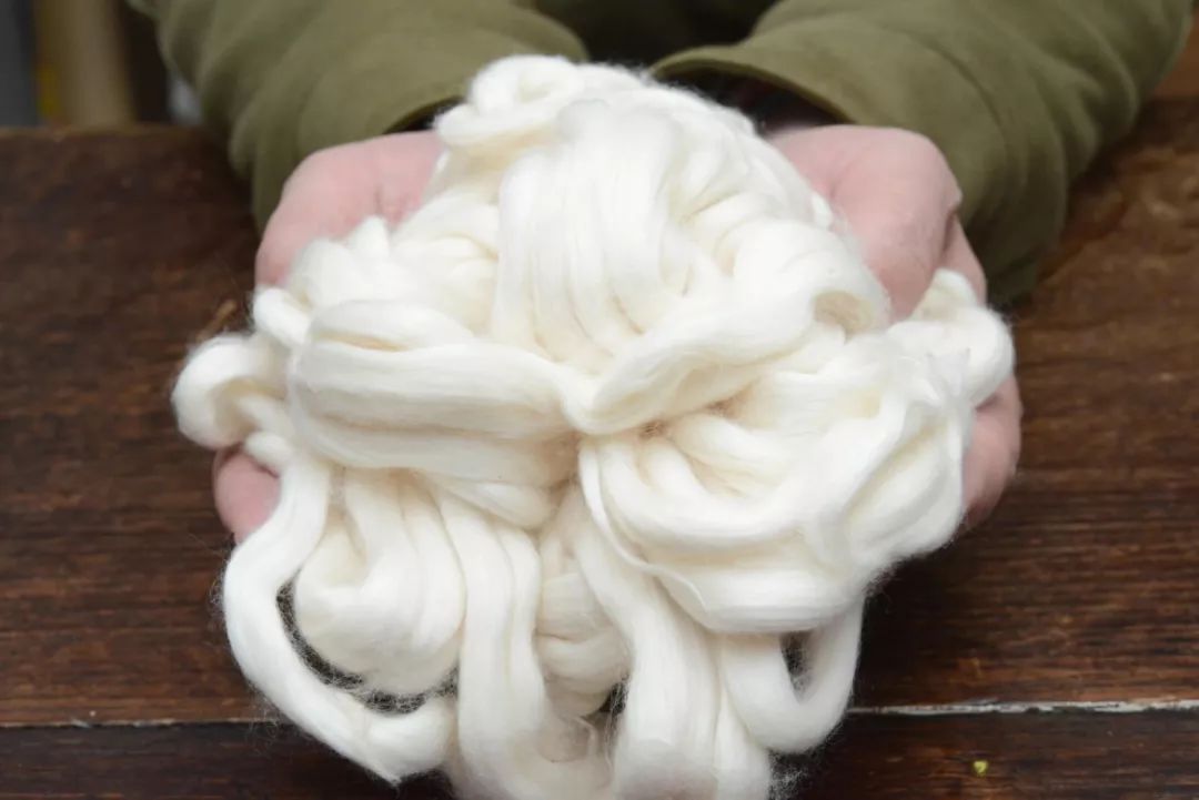 什么是海岛棉（海岛棉的种植和优点）