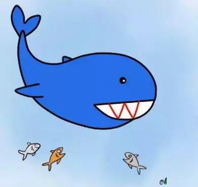 鲨鱼怎么画（鲨鱼简笔画教程）
