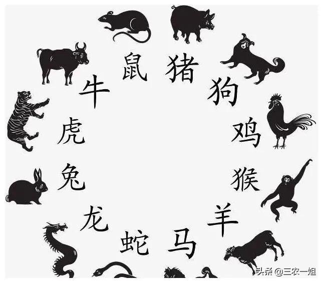 躲春可以睡觉吗（躲春的寓意）