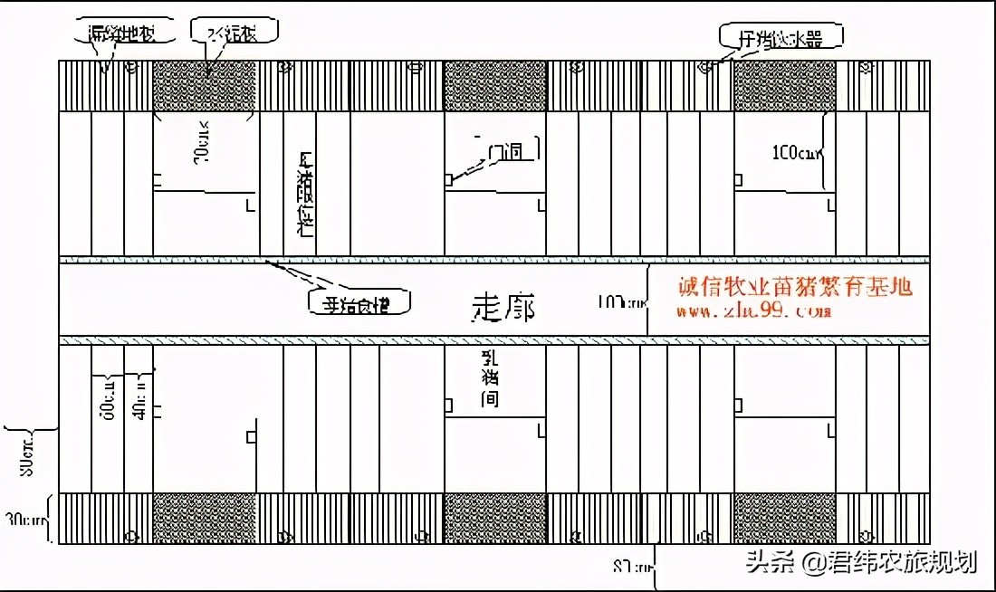 养猪场怎么设计（养猪场规划方案）