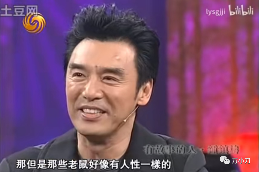 钟镇涛为什么破产了呢(钟镇涛破产原因）