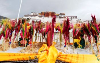 藏族的主要节日有哪些（藏族的传统节日和习俗）