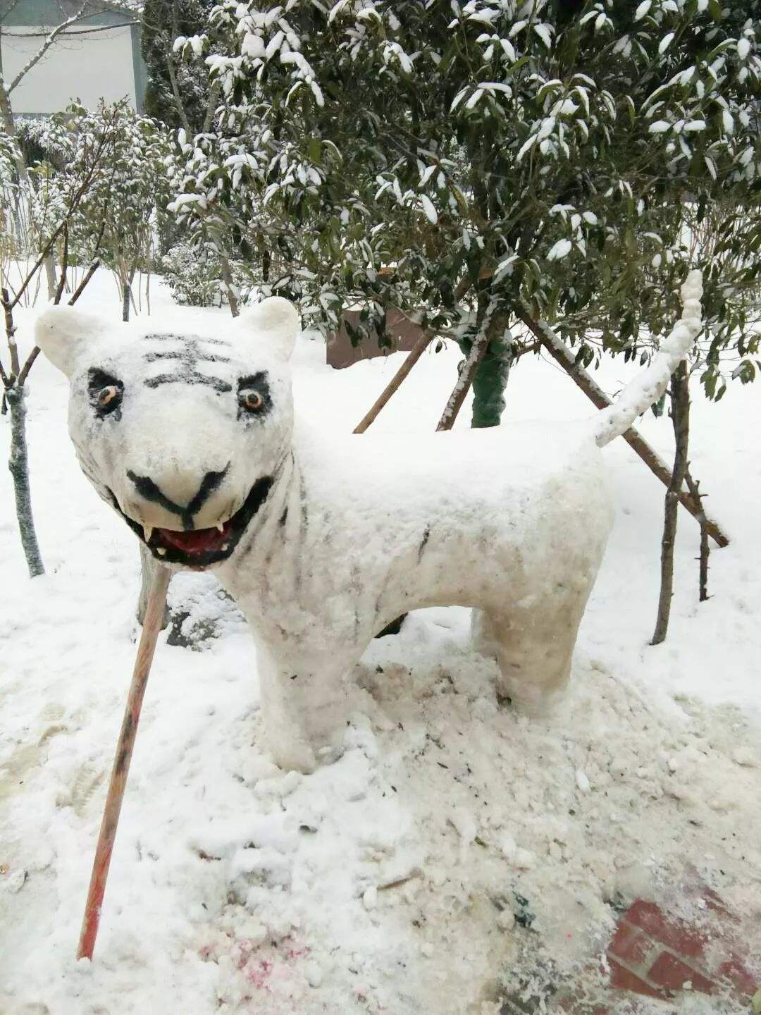 梦见下雪有什么征兆（梦见下雪的寓意）