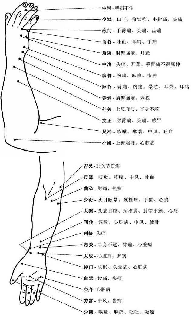 人体穴位有哪些（人体最全穴位图和作用）