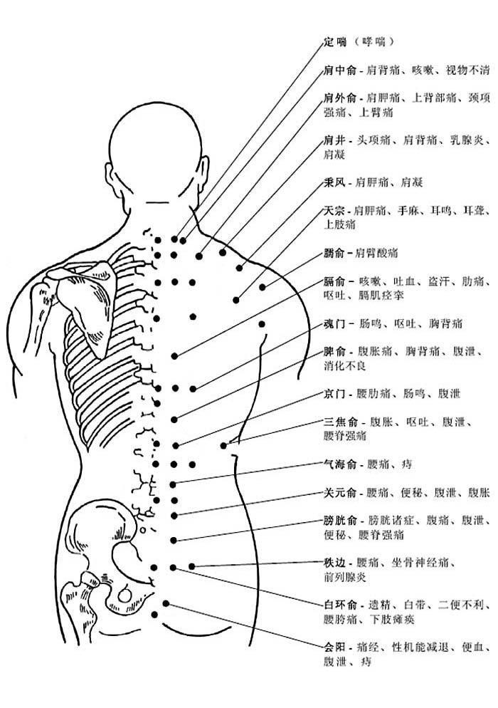 人体穴位有哪些（人体最全穴位图和作用）