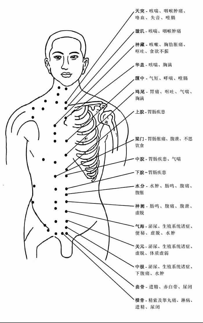 人体穴位有哪些（人体最全穴位图和作用）