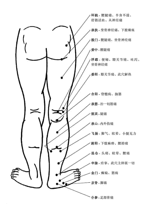 人体穴位有哪些（人体最全穴位图和作用）